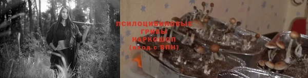 мяу мяу мука Алексеевка