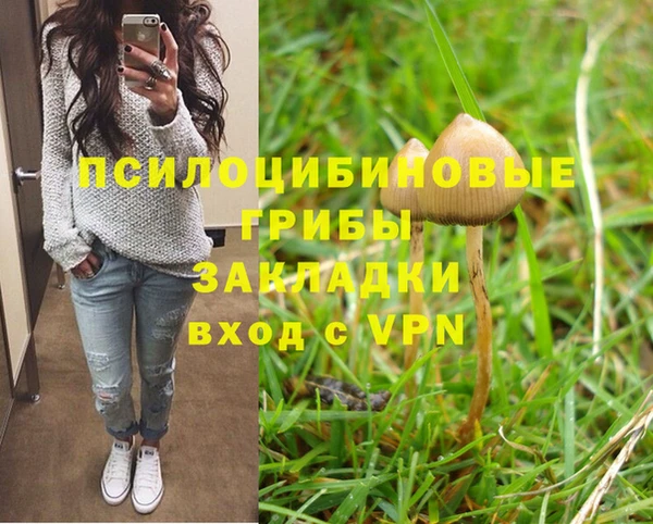 мяу мяу мука Алексеевка
